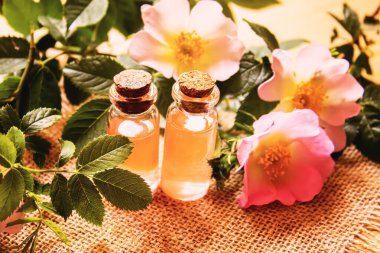 Gül esaslı yağ gül gemisi Seçici odak.