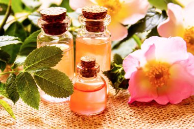 Gül esaslı yağ gül gemisi Seçici odak.