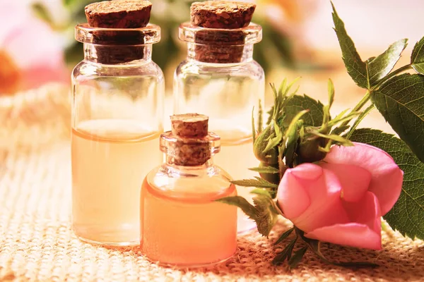 Gül esaslı yağ gül gemisi Seçici odak.