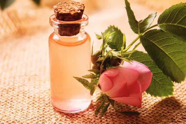 Gül esaslı yağ gül gemisi Seçici odak.