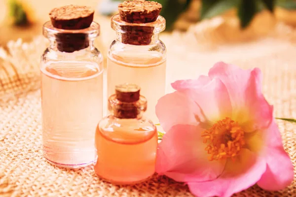 Gül esaslı yağ gül gemisi Seçici odak.