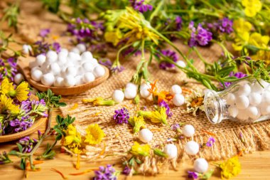 Homeopati, bitkiler ve özleri. Seçici odak.