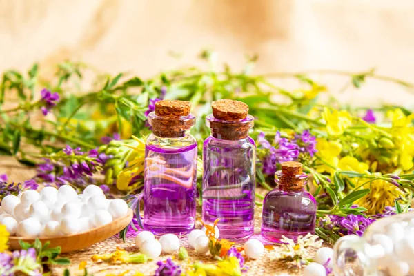 Homeopatía Hierbas Sus Extractos Enfoque Selectivo — Foto de Stock