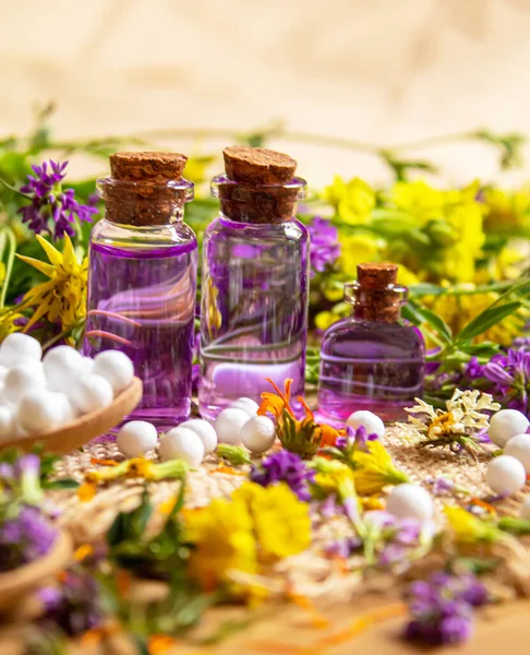 Homeopatía Hierbas Sus Extractos Enfoque Selectivo — Foto de Stock