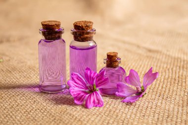 Homeopati, bitkiler ve özleri. Seçici odak.