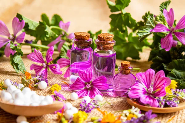 Homeopatía Hierbas Sus Extractos Enfoque Selectivo — Foto de Stock