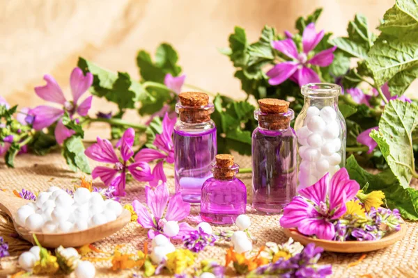 Homeopatía Hierbas Sus Extractos Enfoque Selectivo — Foto de Stock