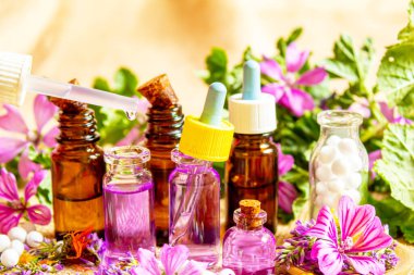 Homeopati, bitkiler ve özleri. Seçici odak.