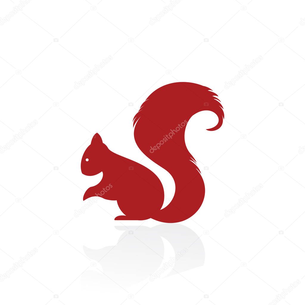 Squirrel Logo Template Design Vector Illustration Sign