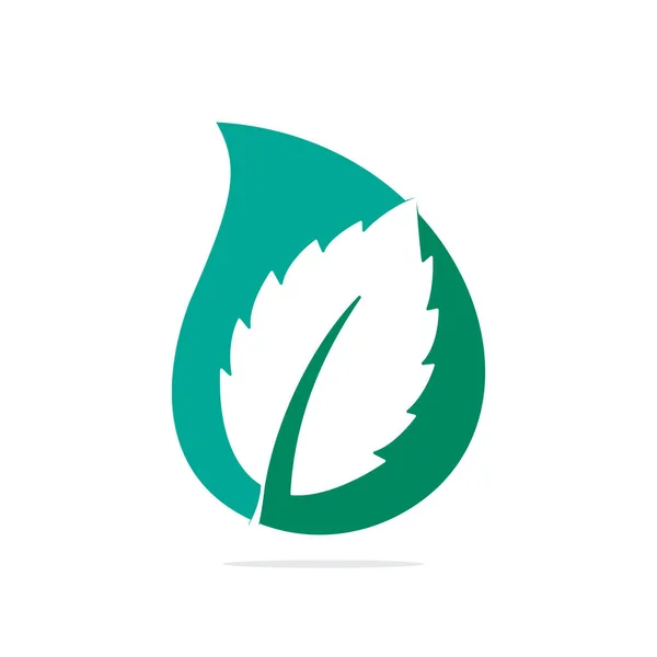 Logo Zrzutu Liści Mięty Zielony Mięta Liście Wektor Logo — Wektor stockowy
