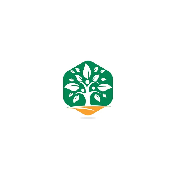 Familie Tree Logo Design Familie Boom Symbool Pictogram Logo Design — Stockvector