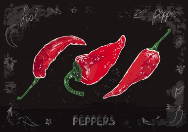 El yapımı kırmızı biber. Grafik vektör seti. Tebeşir tahtası arka planı.