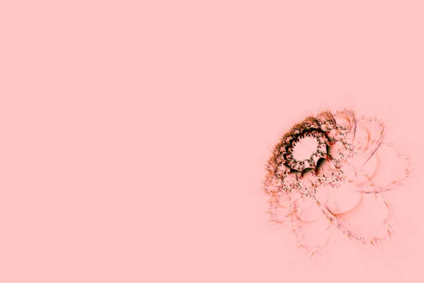 Thistle çiçek - dijital olarak işlenen fraktal illüstrasyon — Stok fotoğraf