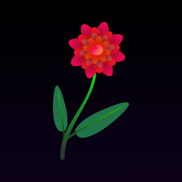 ดอกไม แดงท สวยงามบนพ นหล — ภาพเวกเตอร์สต็อก