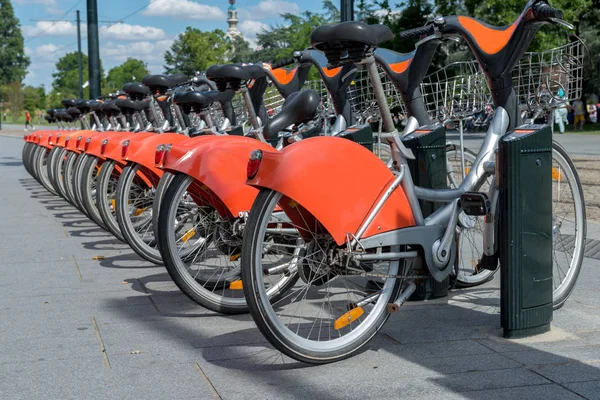 Place of rent of bicycles.