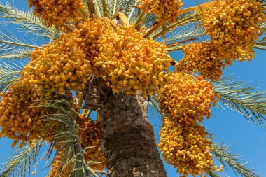İspanya'da La Manga, 09 Eylül 2017 çekilmiş fotoğrafı