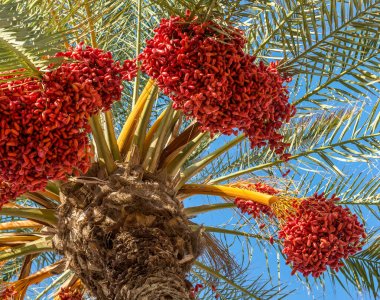 İspanya'da La Manga, 09 Eylül 2017 çekilmiş fotoğrafı