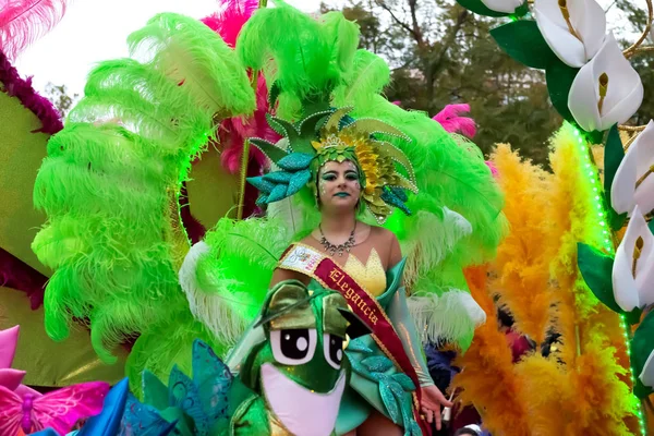 Wielkie Parady Karnawałowe Cartagena Regionie Murcia Hiszpania Lutego 2018 — Zdjęcie stockowe