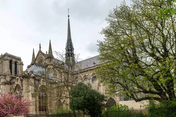 Katedrála Notre Dame Paříž Francie Dubna 2018 — Stock fotografie