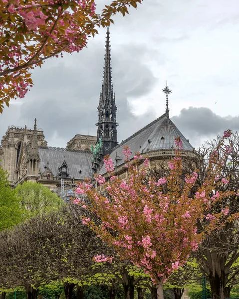 Catedral Notre Dame Primavera París Francia Abril 2018 —  Fotos de Stock