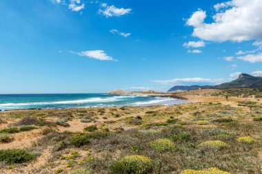Park Natural de Calblanque 'da. Murcia. İspanya. 8 Nisan 2018
