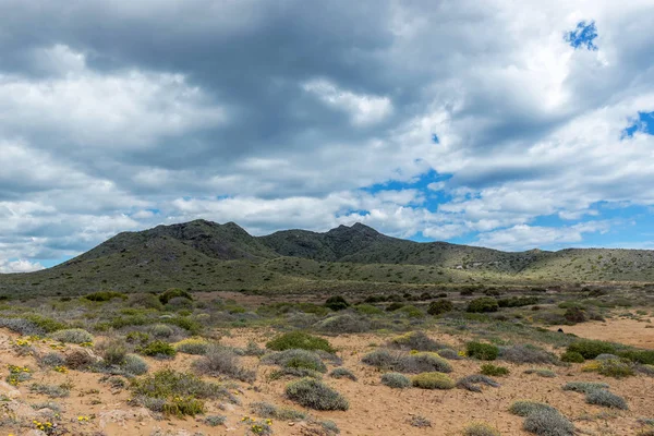Park Natural de Calblanque 'da. Murcia. İspanya. 8 Nisan 2018