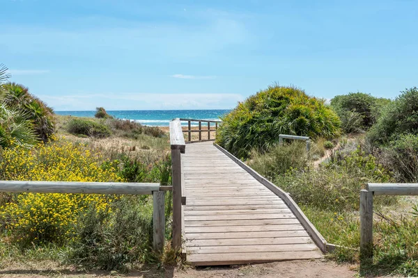 Park Natural de Calblanque 'da. Murcia. İspanya. 8 Nisan 2018