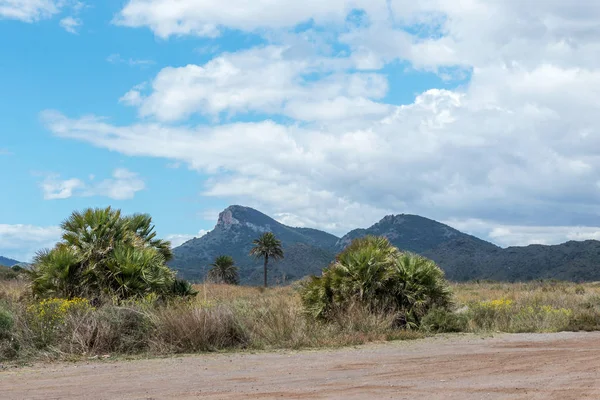 Parque Natural Calblanque Murcia Spagna Aprile 2018 Foto Stock