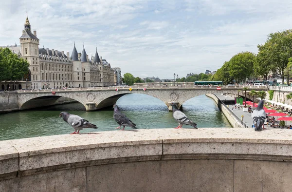 Las Palomas Sientan Puente Sobre Río Sena París — Foto de Stock