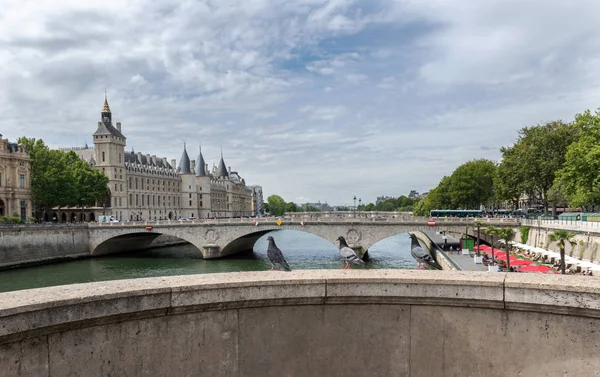 Голуби Сидят Мосту Через Сену Париж — стоковое фото