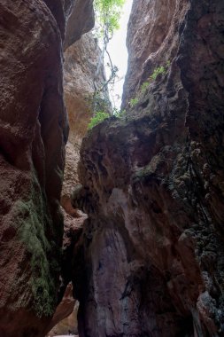 Canyon Vadisi. Totana. Murcia. İspanya.