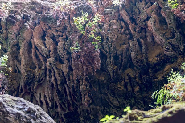 Ущелье Каньон Тотана Мурсия Испания — стоковое фото