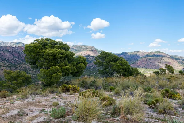 Canyon Barrancos Gebas Totaal Niet Met Murcia Spanje — Stockfoto