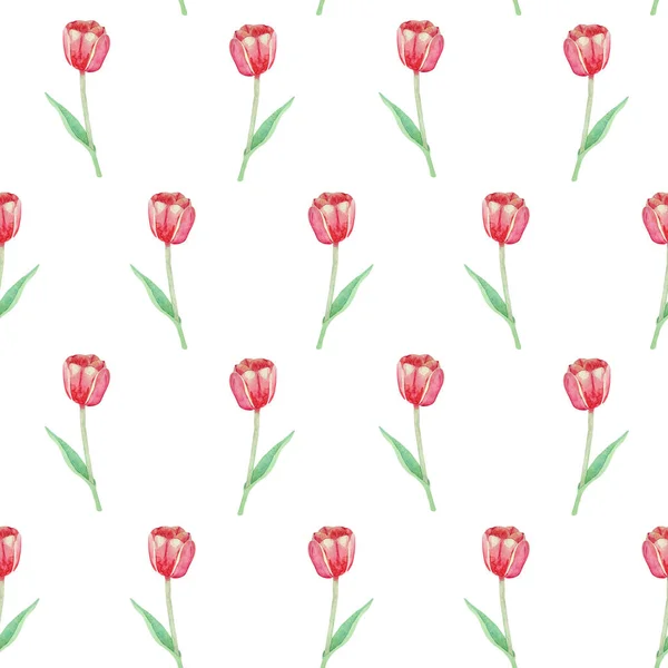 Aquarelpatroon Met Rode Tulpen Een Witte Achtergrond Een Eenvoudige Lenteprint — Stockfoto