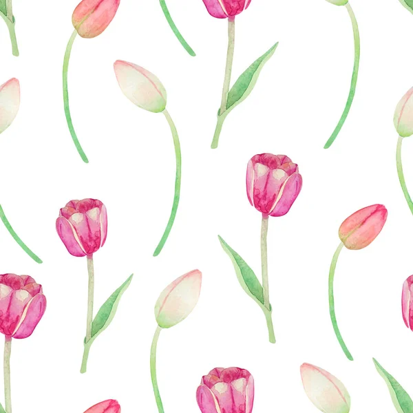 Aquarel Patroon Met Roze Tulpen Een Witte Achtergrond Verse Lente — Stockfoto