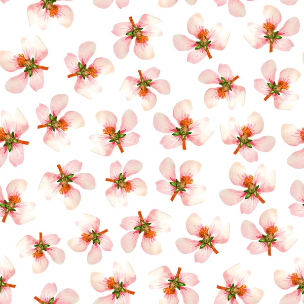 Akvarell Zökkenőmentes Minta Nagy Virágok Cseresznye Fehér Alapon Könnyű Finom — Stock Fotó