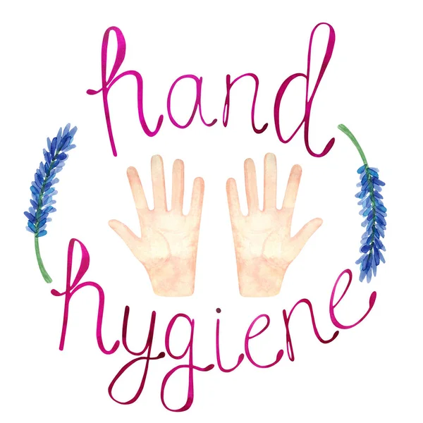 Watercolor illustration with clean hands on a white background and sprigs of lavender. Hand hygiene poster. Illustration as a reminder to wash your hands.