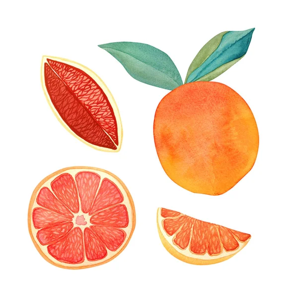 Акварель Апельсин Листьями Четверть Ломтик Красного Апельсина Половина Грейпфрута Изолированы — стоковое фото