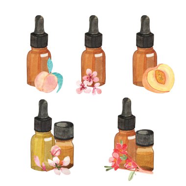 Beyaz arka planda şeftalili, el yapımı suluboya yağlar. Şeftali çiçekleriyle hazırlanmış bir Aromaterapi seti. Kayısı çekirdeği ile masaj yağı.