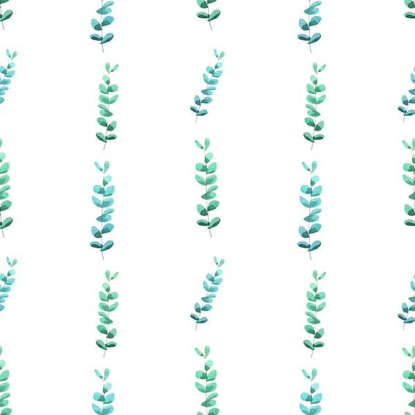 Hand Drawn Watercolor Seamless Pattern Eucalyptus Branches White Background Simple — Stock Photo, Image