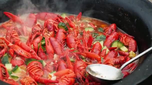 Chef Cocinando Cangrejos Picantes Wok Comida Comida China Crustáceos Cangrejo — Vídeo de stock