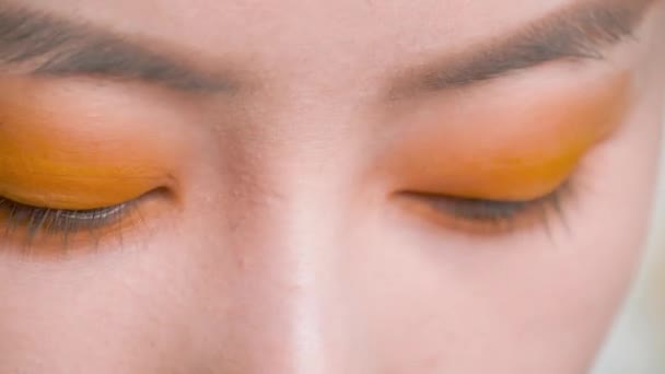 Profesional Maquillador Hace Maquillaje Ojos Chica Coreana Mujer Asiática Con — Vídeo de stock
