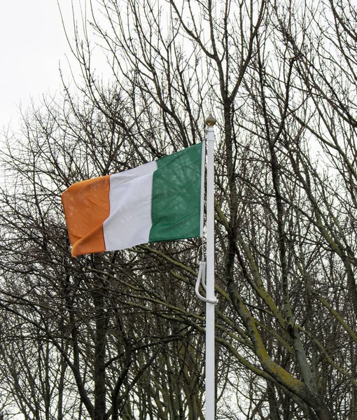 Flagge Der Republik Irland — Stockfoto