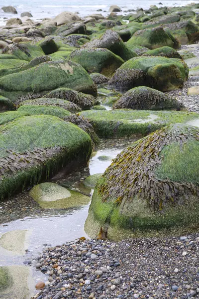 Costa Mar Irlanda Com Pedras Pedra — Fotografia de Stock