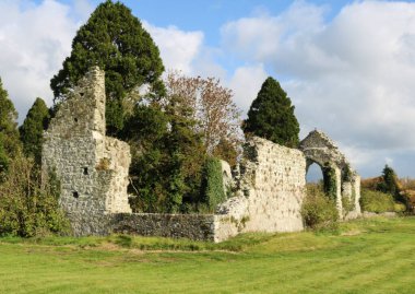 Gri Manastır 'ın kalıntıları, Kildare. İrlanda