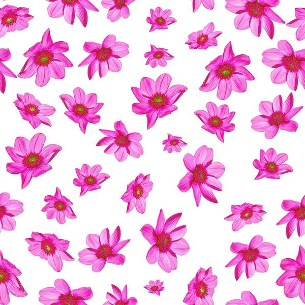 Rosa Blumen Nahtloses Muster Auf Weißem Hintergrund — Stockfoto