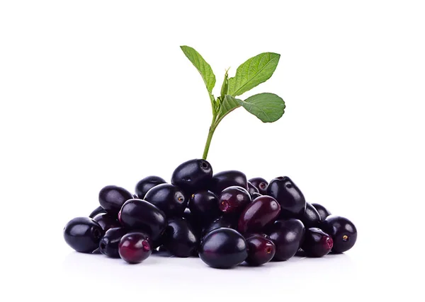 Beyaz arkaplanda izole edilmiş Jambolan eriği veya Java eriği.