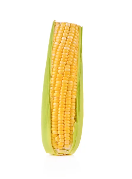 Кукурудза Ізольована Білому Тлі — стокове фото