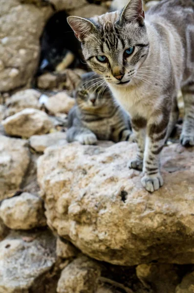 Cabo de Gata 'da yaz zamanı