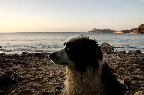 Cabo de Gata 'da yaz zamanı